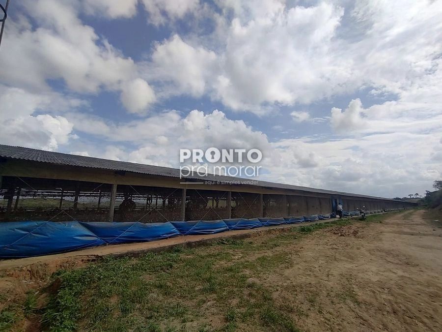 Fazenda/Sítios/Chácaras com 4 quartos em Alto José Leal - Wallace Pinto Corretor