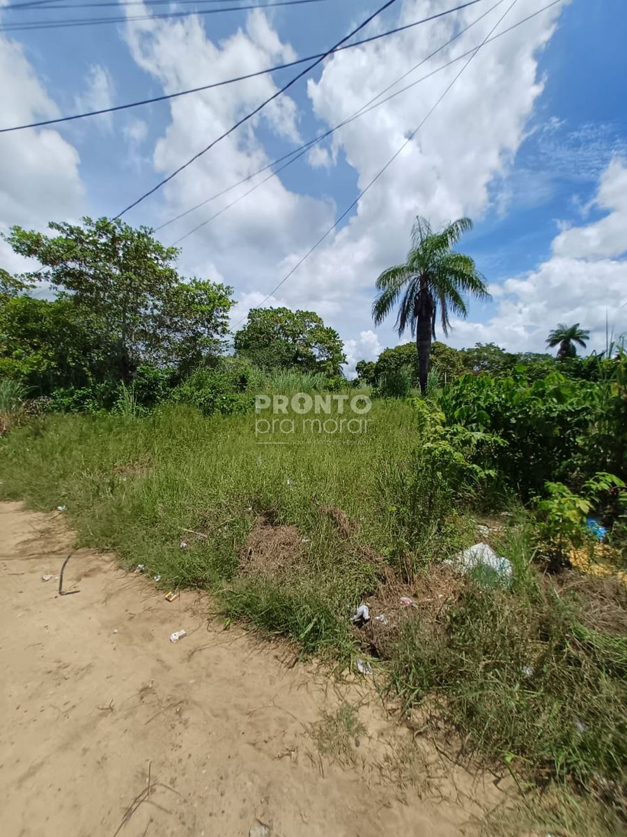 Lote/Terreno/Condomínio em Itapissuma - Wallace Pinto Corretor