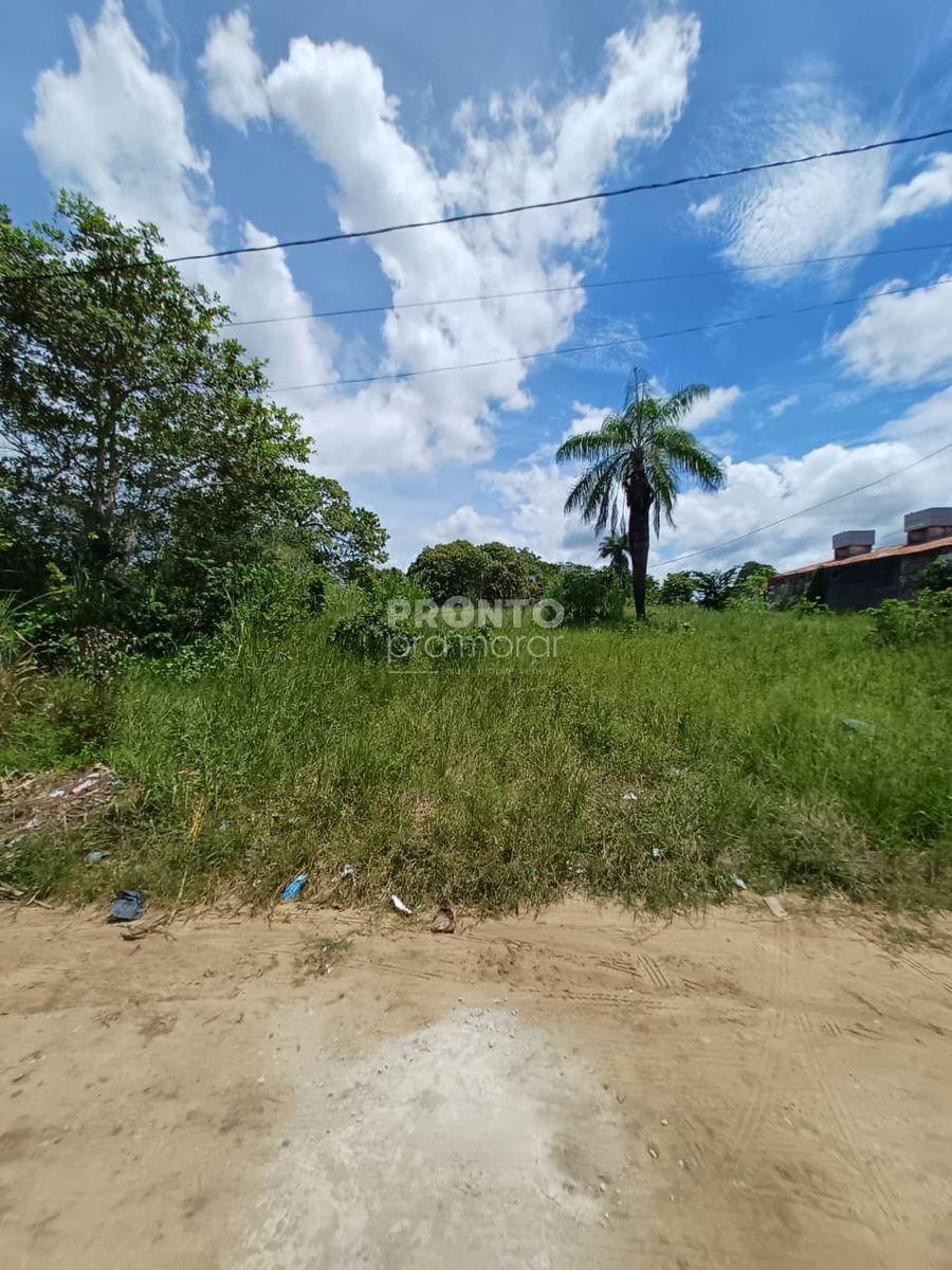Lote/Terreno/Condomínio em Itapissuma - Wallace Pinto Corretor