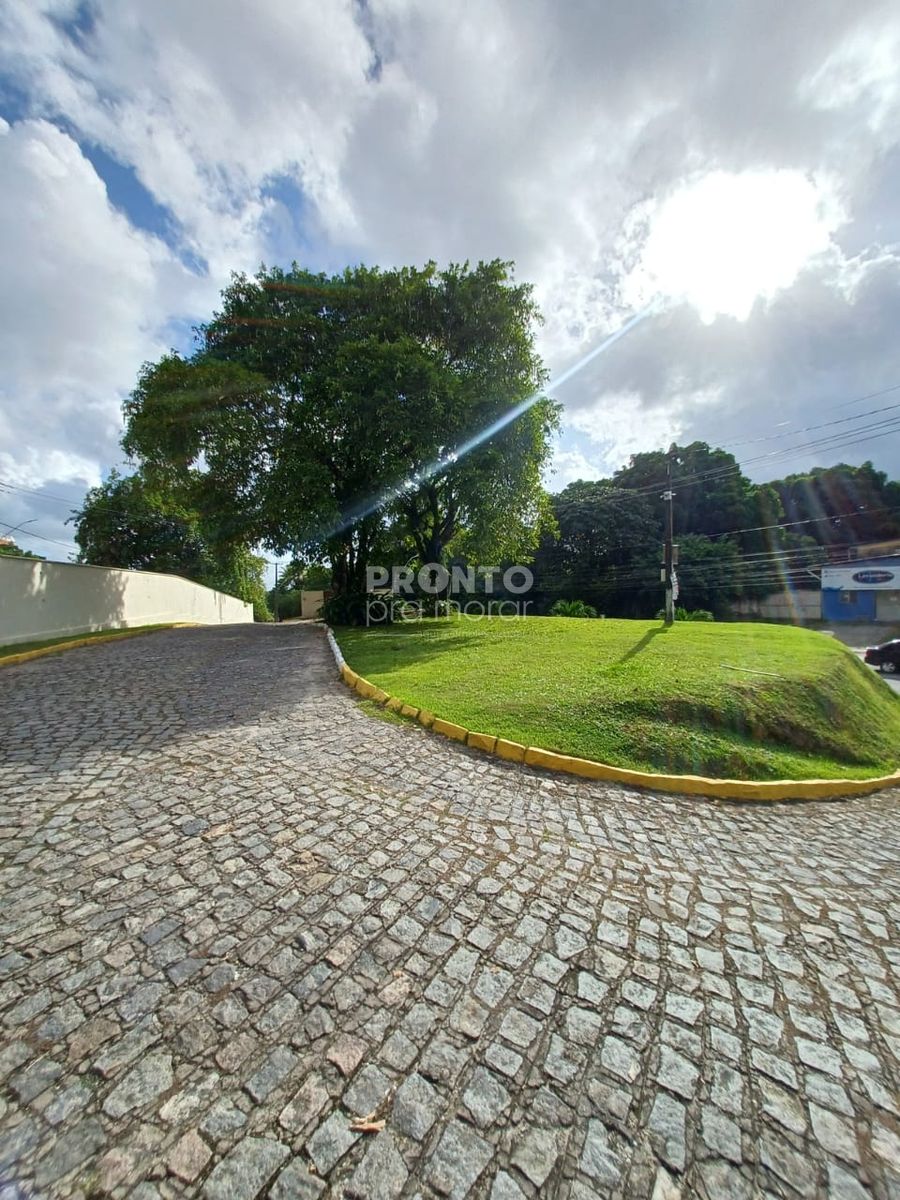 Casa, 5 quartos, 252 m² - Foto 42