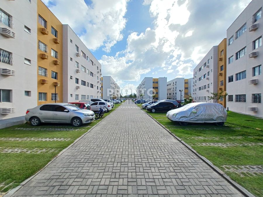Apartamento, 2 quartos, 44 m² - Foto 13