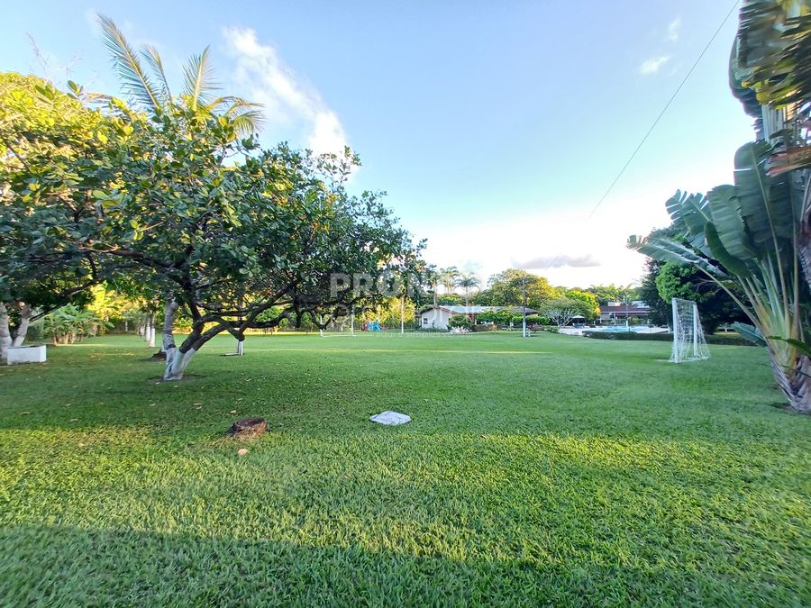Casa, 4 quartos, 216 m² - Foto 29