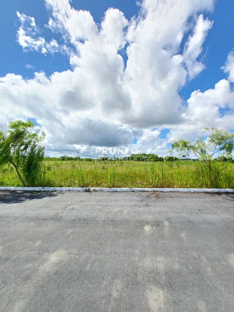 Lote/Terreno/Condomínio em Aldeia - Wallace Pinto Corretor