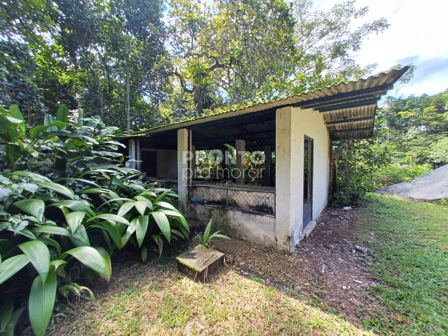 Chácara, 4 quartos - Foto 11