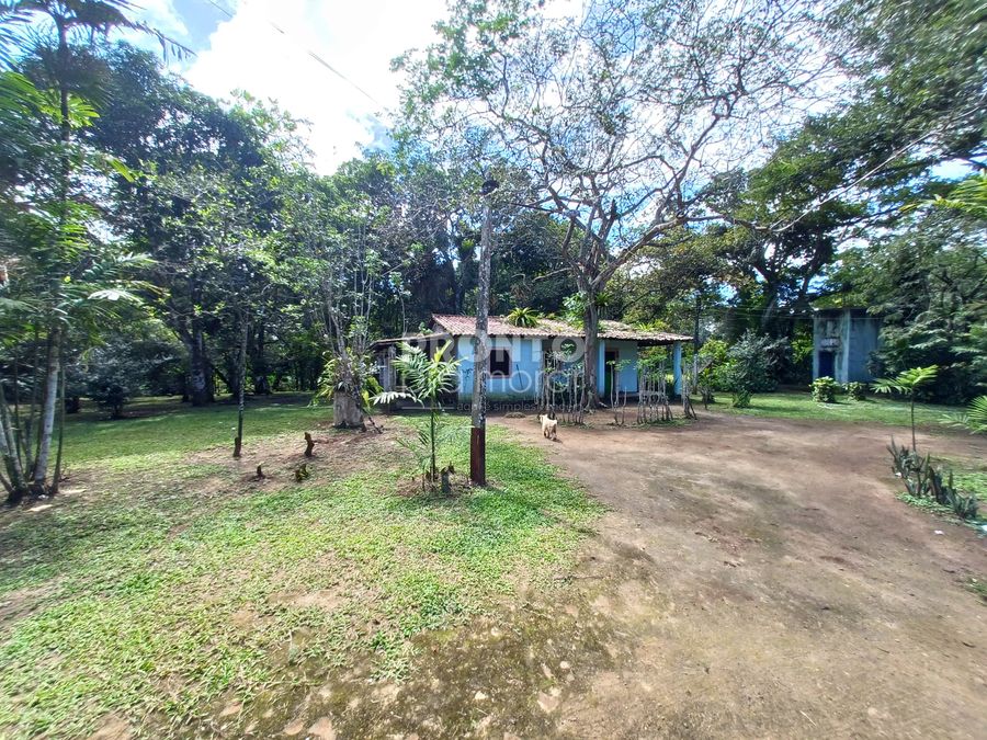 Chácara, 4 quartos - Foto 23