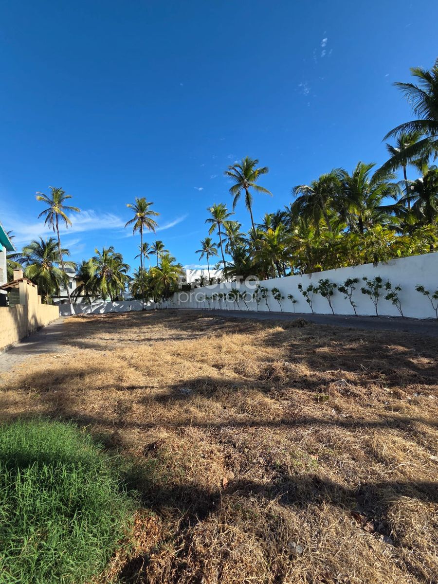 Lote/Terreno/Condomínio em Cupe - Wallace Pinto Corretor