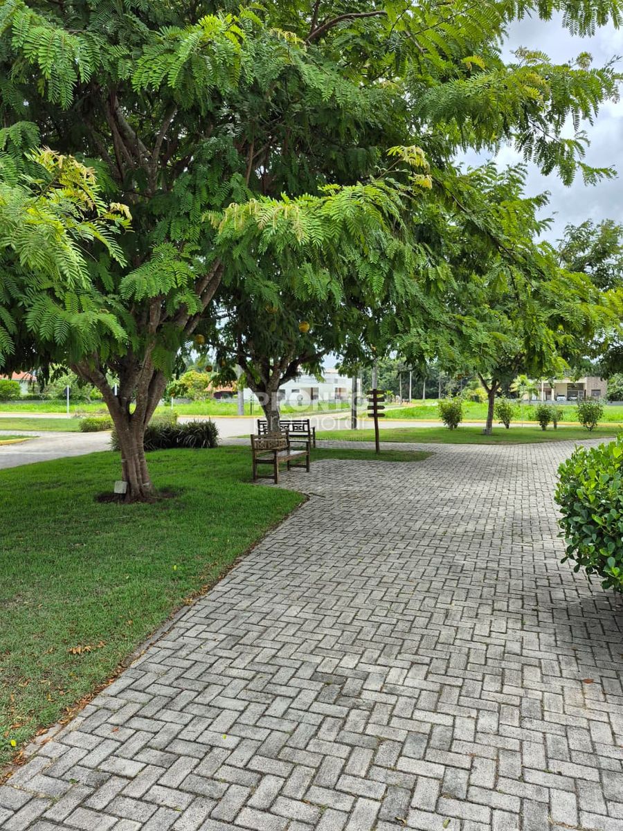 Terreno, 750 m² - Foto 6