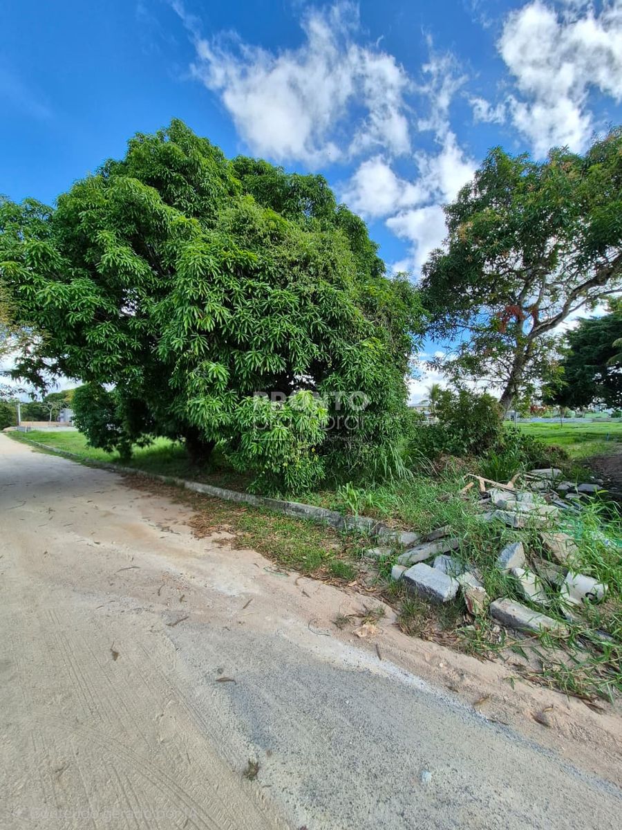 Terreno, 750 m² - Foto 3