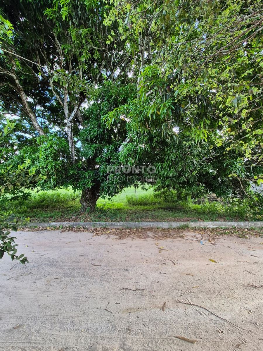 Terreno, 750 m² - Foto 2