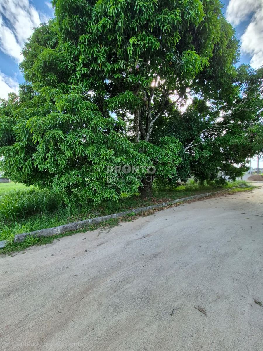 Lote/Terreno/Condomínio em Aldeia dos Camarás - Wallace Pinto Corretor