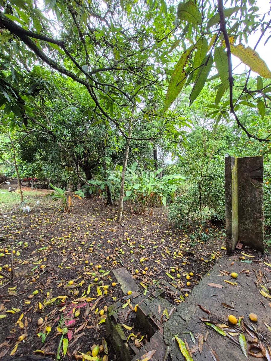 Terreno, 11 m² - Foto 8