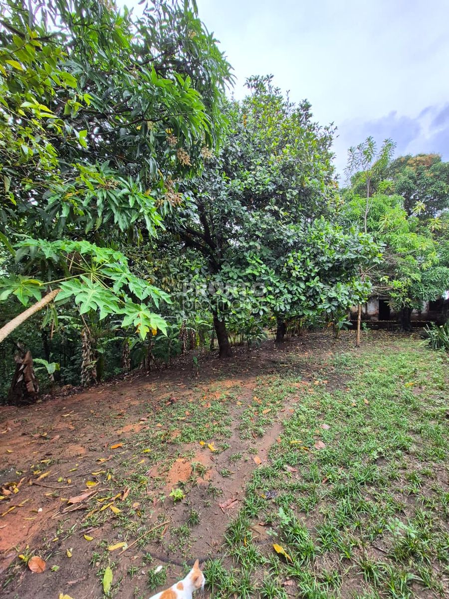 Lote/Terreno/Condomínio em Guabiraba - Wallace Pinto Corretor
