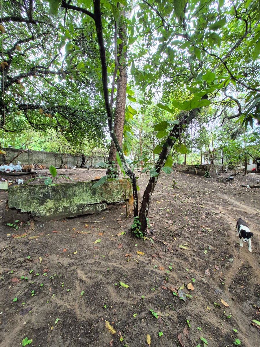 Terreno, 11 m² - Foto 10
