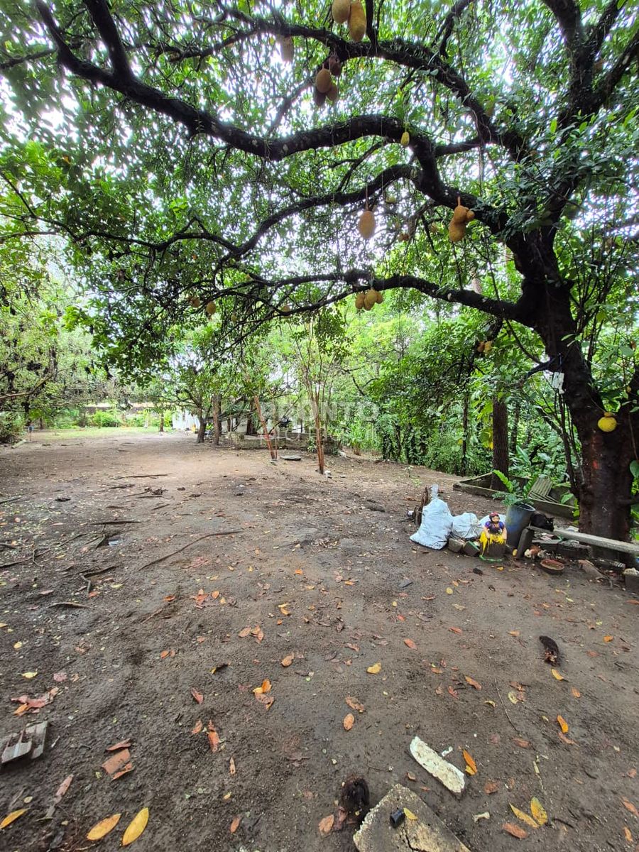 Terreno, 11 m² - Foto 9