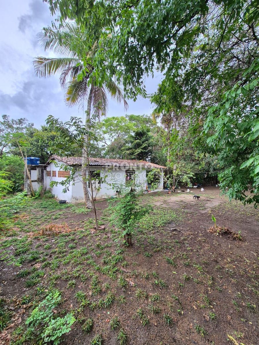 Terreno, 11 m² - Foto 5