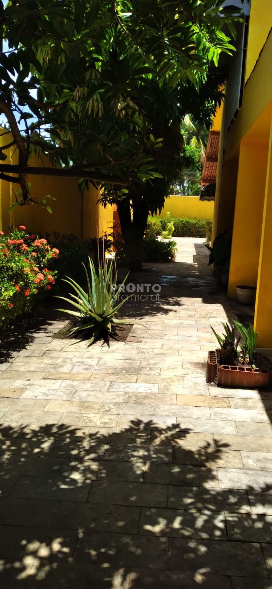 Casa, 4 quartos, 210 m² - Foto 8