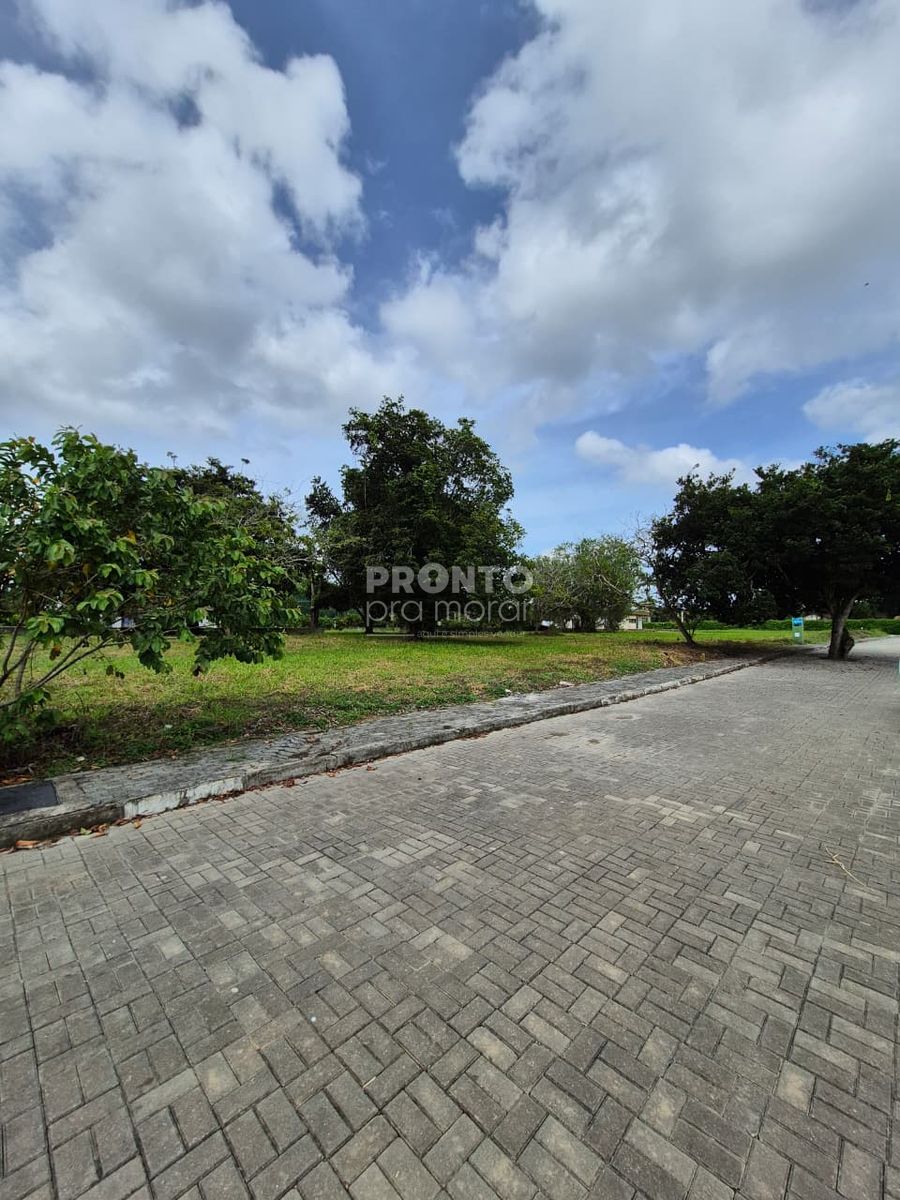 Terreno, 600 m² - Foto 2
