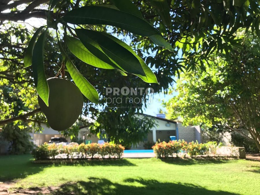 Casa, 6 quartos, 360 m² - Foto 22