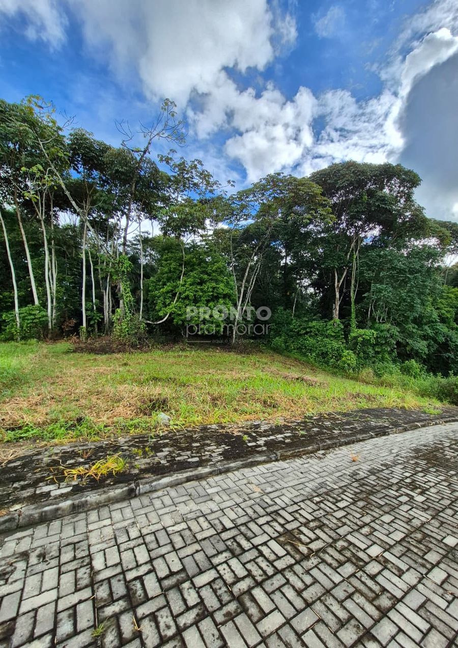 Lote/Terreno/Condomínio em Aldeia dos Camarás - Wallace Pinto Corretor