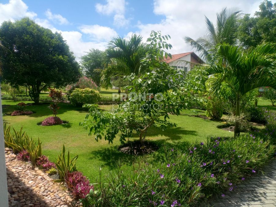 Apartamento, 3 quartos, 137 m² - Foto 6