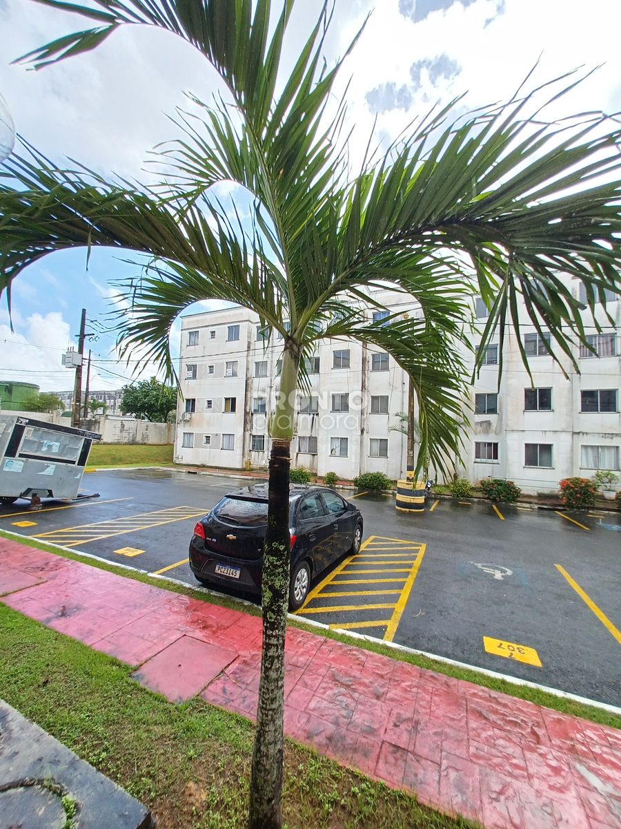 Apartamento, 2 quartos, 44 m² - Foto 13