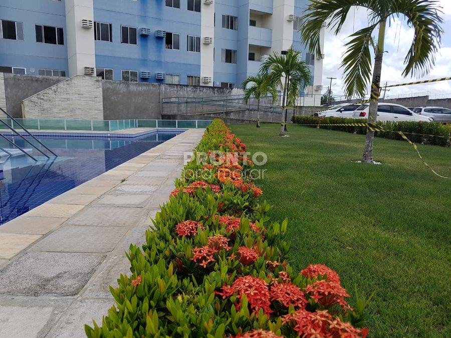 Apartamento, 2 quartos, 43 m² - Foto 3